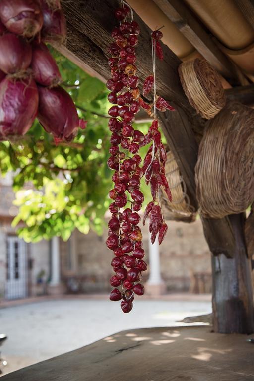 Vila Don Carlo Agriturismo Di Charme Bio Le Pioppe Exteriér fotografie